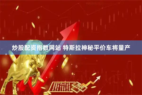 炒股配资指数网站 特斯拉神秘平价车将量产